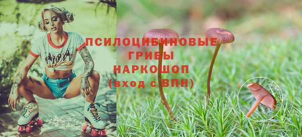 твердый Абинск